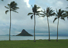 (12-13-11) Hawaii Day 5 - Rainy Day Around the Island